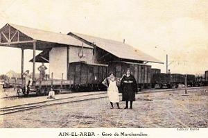 Oran- SDV- 6523-Ain el arba 004 